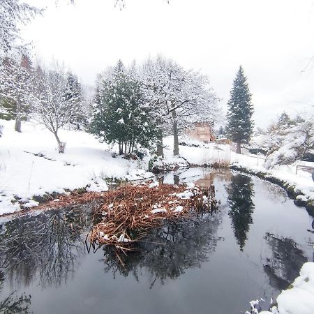 Le Manoir Au Lac Gerardmer Exterior photo